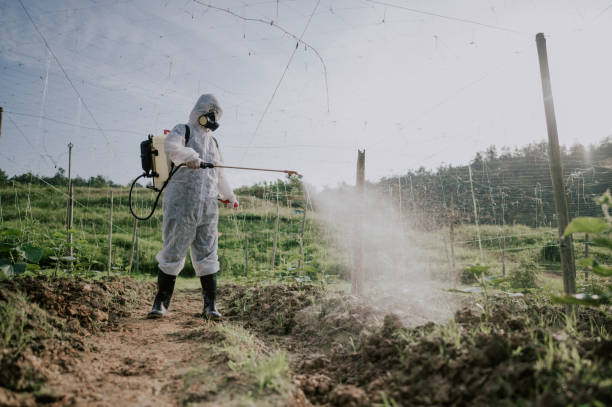 Best Best Pest Control Companies  in Upper Pohatcong, NJ