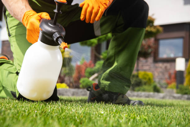 Trusted Upper Pohatcong, NJ Pest Control Experts