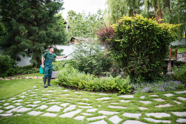 Best Local Pest Control Services  in Upper Pohatcong, NJ