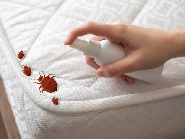 Best Insect Control  in Upper Pohatcong, NJ